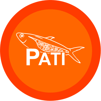 Icon Starline Pati