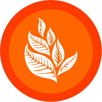 Icon Starline Temanggung